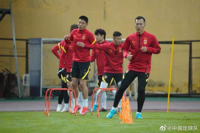 9色蝌蚪
