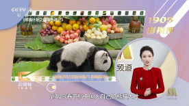 国内精品免费**视频
